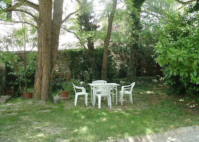 L Echarpe D Iris Montpeyroux (Puy-de-Dome)